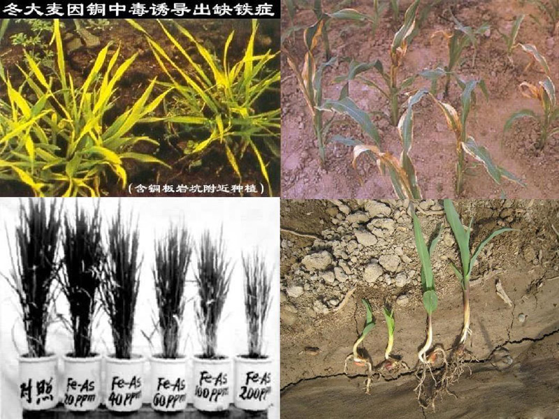 熱解處理技術是土壤重金屬污染修復的重要手段
